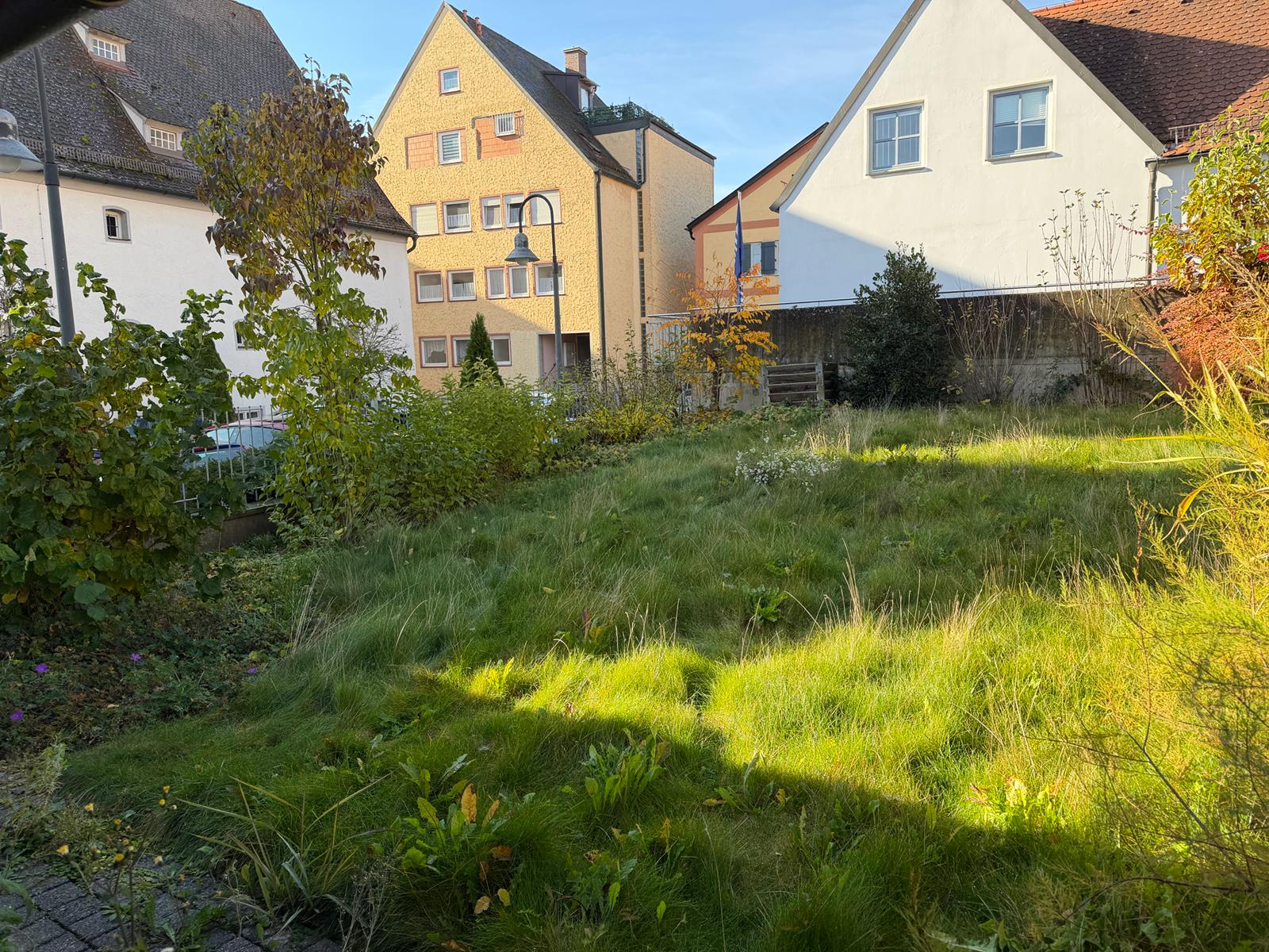 Grünfläche zwischen Wohnhäusern